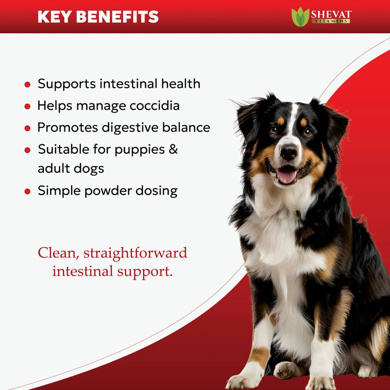 NMN Longevity Soft Chews for Dogs – Beef Flavored – Antioxidant Support for Joint Health, Immune Function, and Cellular Protection – 120 Count
