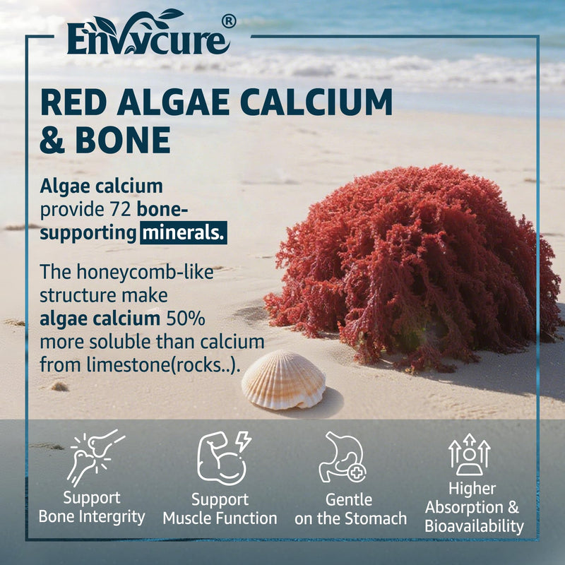 Calcium Gummies - Algae Calcium 600mg with Vitamin D3 K2 Magnesium | Bone, Muscle Strength & Immune Support - Sustainably Sourced Algae Calcium for Women & Men, 70+ Mineral, Vegan, 2PACK 60 Count (Pack of 2)