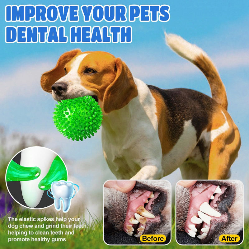 Light Up Squeaky Dog Balls: Led Dog Balls for Aggressive Chewers Large Chew Toys for Teething - Spikey Dog Balls for Small, Medium, Large Dogs - BeesActive Australia