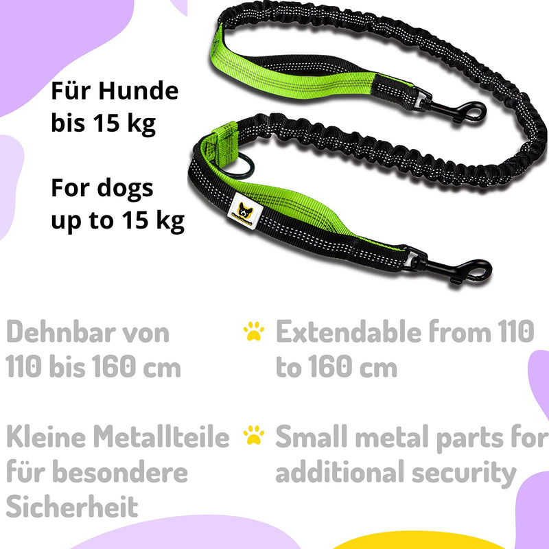 Hundefreund Hands-Free Leash for Small Dogs Under 30 lbs – Lightweight Waist Leash with Soft Bungee (43–63"), Padded Belt (26–47") & Pouch – Dual Handles, Reflective Stitching for Walking & Jogging