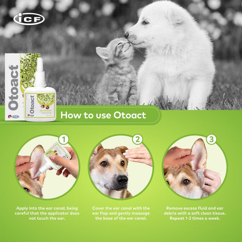 ICF | Otoact Ear Cleaner for Dogs and Cats | Gentle Ear Cleaning Solution | Helps Remove Wax & Odor | 100ml Dropper Bottle Single