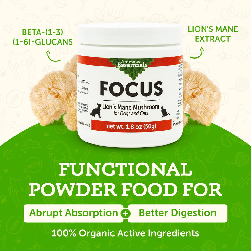 Animal Essentials Focus Lions Mane Mushroom Supplement for Dogs & Cats - Supports Brain Health, Cognitive Function, Healthy Immune Response, Mushroom Powder Extract - 1.8 Oz (Pack of 1)