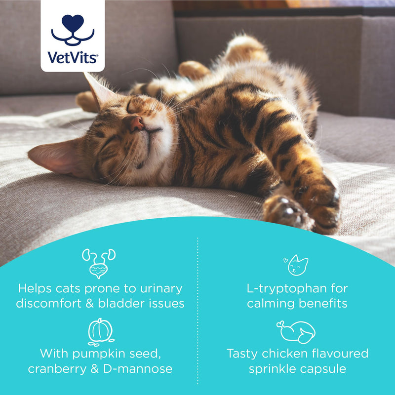 Bladder Support for Cats (60 capsules) | Urinary Health for Cats | Helps reduce indoor accidents | Bladder complex with pumkin seed, D-mannnise and cranberry
