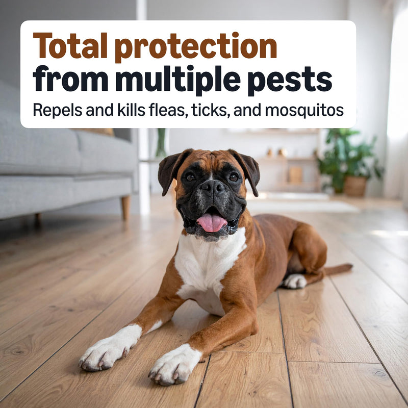 Amazon Basics Preventative Flea, Tick & Mosquito Topical Treatment for Large Dogs (21-55 Pounds), Kills Fleas, 4 Count, Packaging May Vary Large Dogs (21 - 55 lbs)