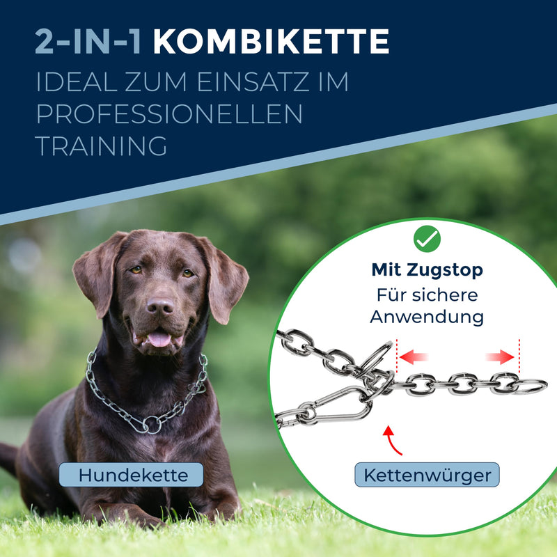 Chain choker for dogs with head circumference 43-46 cm made of V4A stainless steel dog chain with pull stop chain collar long links 4mm thick and 55 cm total length Total length: 55 cm Thickness: 4 mm - BeesActive Australia