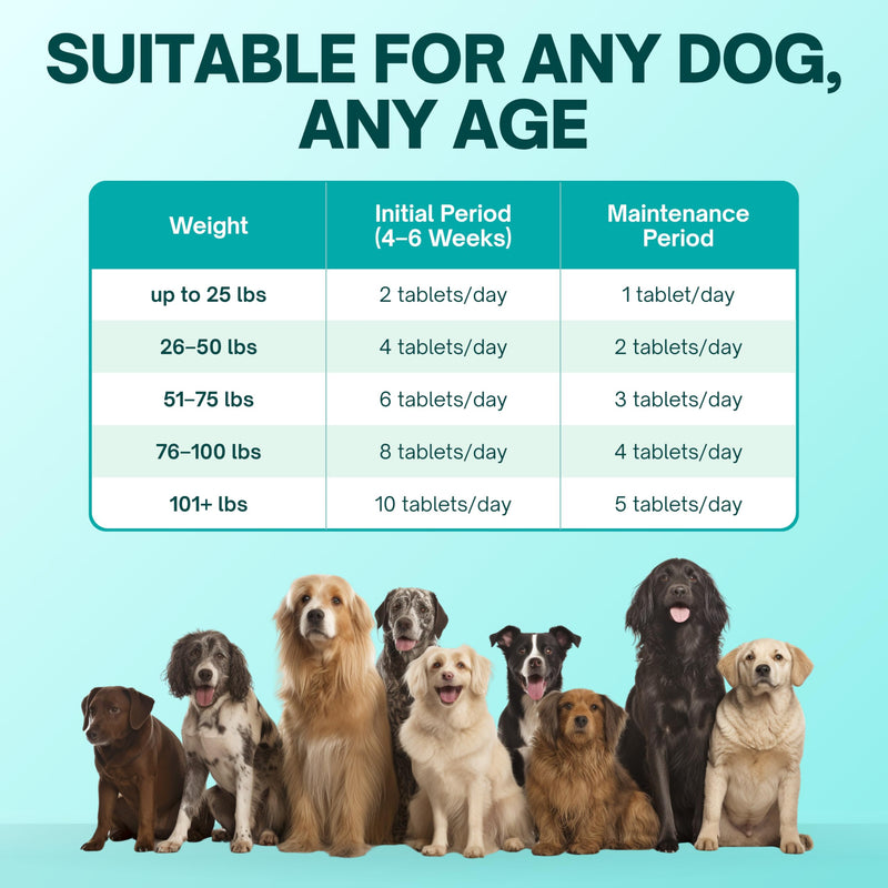 CM Joint Care for Dogs | Advanced Hip & Joint Support Supplement with Cetyl Myristoleate (Omega 5), Glucosamine & Hyaluronic Acid | Mobility & Comfort Support | 120 Tasty Chewable Tablets