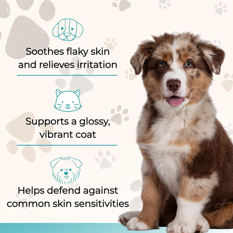 Wild Alaskan Salmon Oil for Dogs and Cats - Omega-3s, Including EPA and DHA, to Help Support Full-Body Health and Wellbeing for Sensitive Skin, Coat Health and Immune System Support - 2 Pack