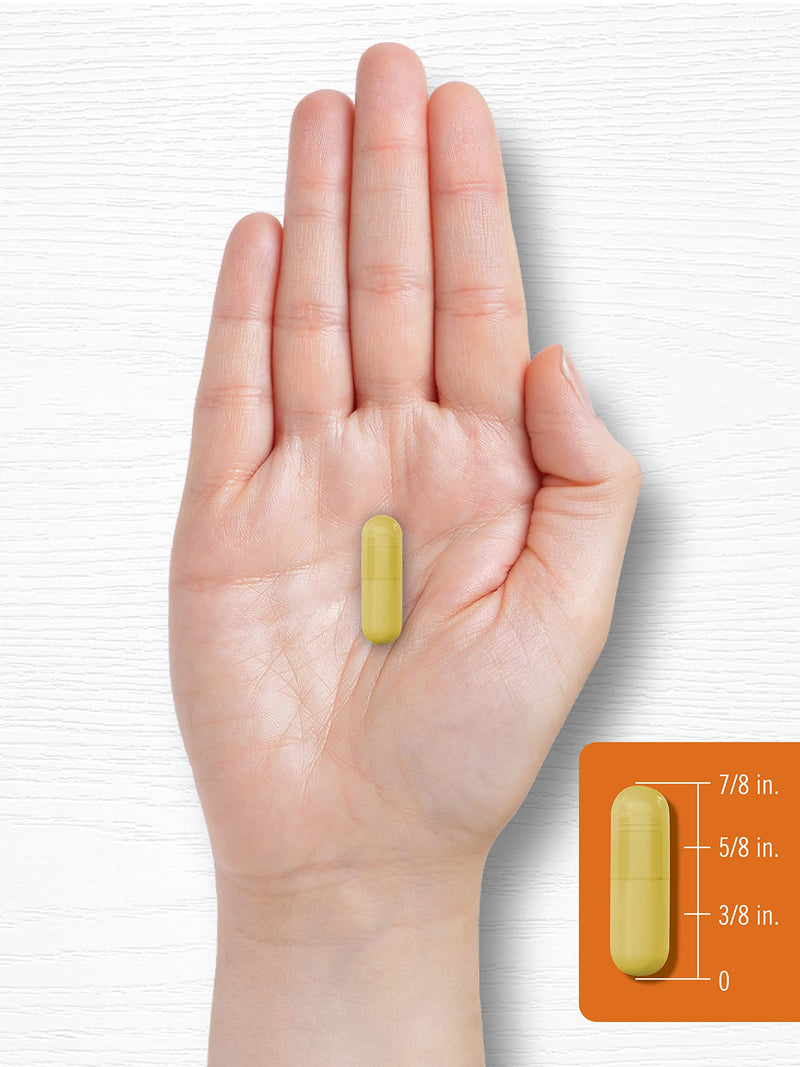 Carlyle Turmeric Curcumin with Bioperine | 500 mg | 180 Powder Capsules | Support Complex with Black Pepper | Non-GMO, Gluten Free Supplement - BeesActive Australia