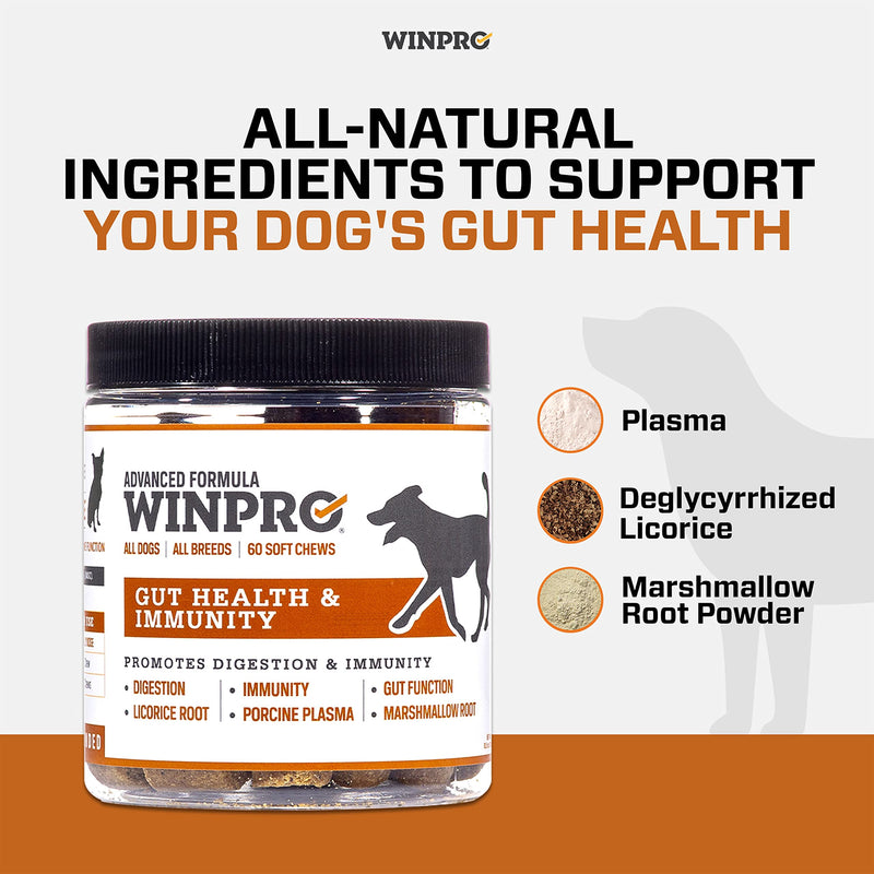 WINPRO Dog Gut Health Supplements – Plasma-Powered Chews for Dog Immune Support & Digestive Health, Fast-Acting Solution for Gut Health for Dogs of All Breeds & Sizes, 60 Count, Made in USA - PawsPlanet Australia