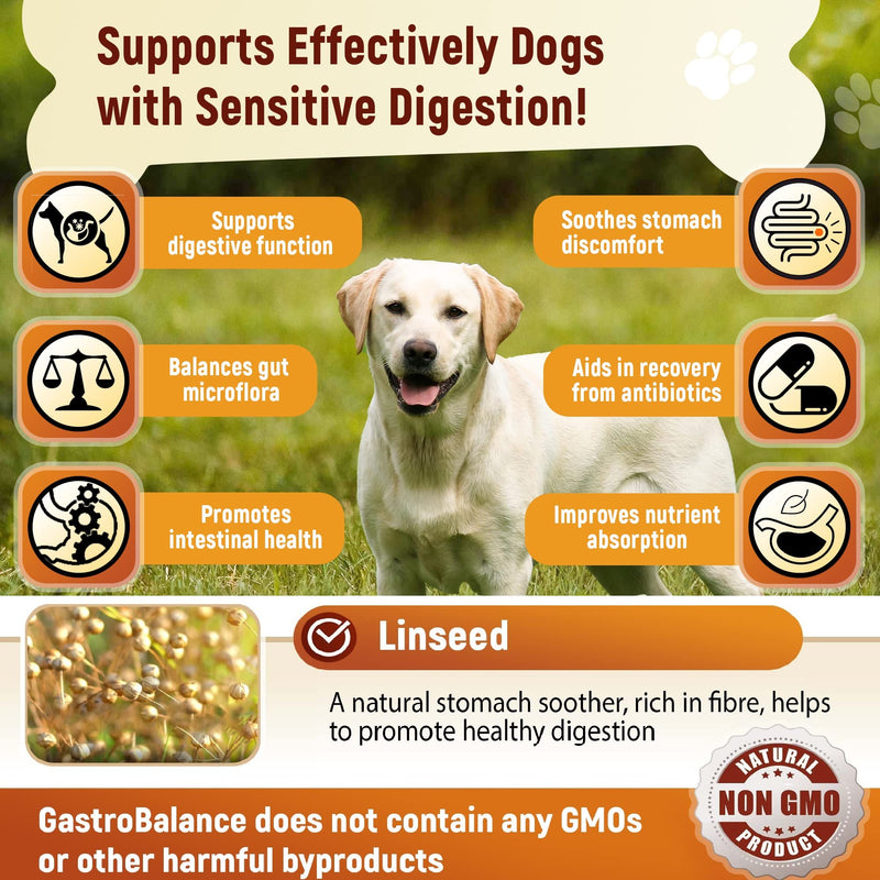 Advanced dog probiotics for gut health – 60 natural dog probiotic chews recommended by vet (Chicken flavour) Chicken flavour