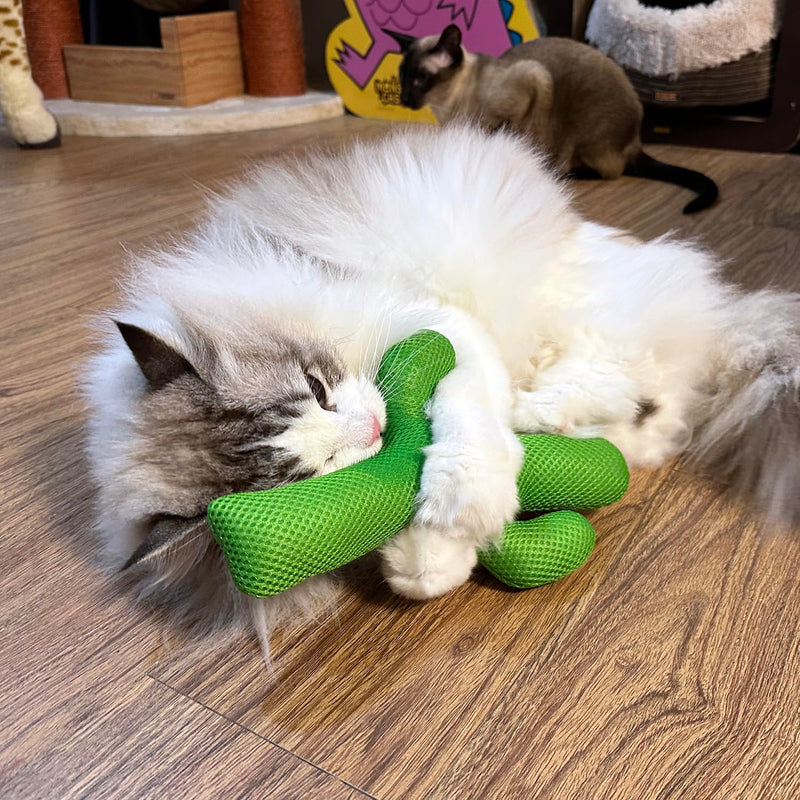 Catnip Silvervine Matatabi Pillow for Cats & Kittens,Large Cat Cactus Toy Cat Kicker Toy Cat Chew Toy for Indoor Cats. - BeesActive Australia