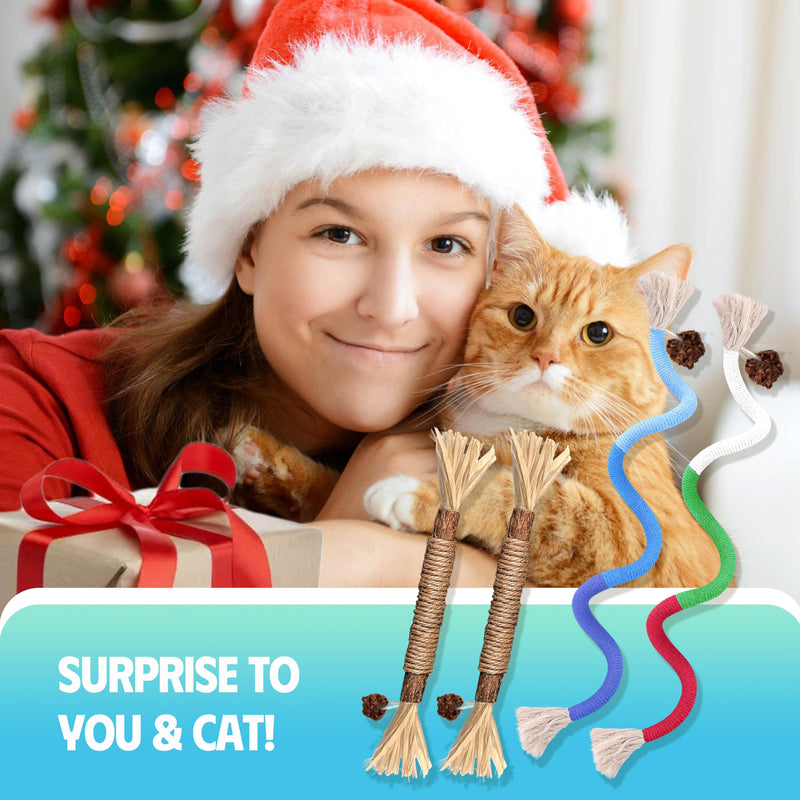 4 Pcs Cat & Kitten Chew Toy, Cat Toys Chew Ropes and Silvervine Cat Chew Sticks with Refillable Natural Catnip Bag for Teeth Cleaning, Safe Interactive Cat Toys for Indoor Cats 4 Pack - BeesActive Australia