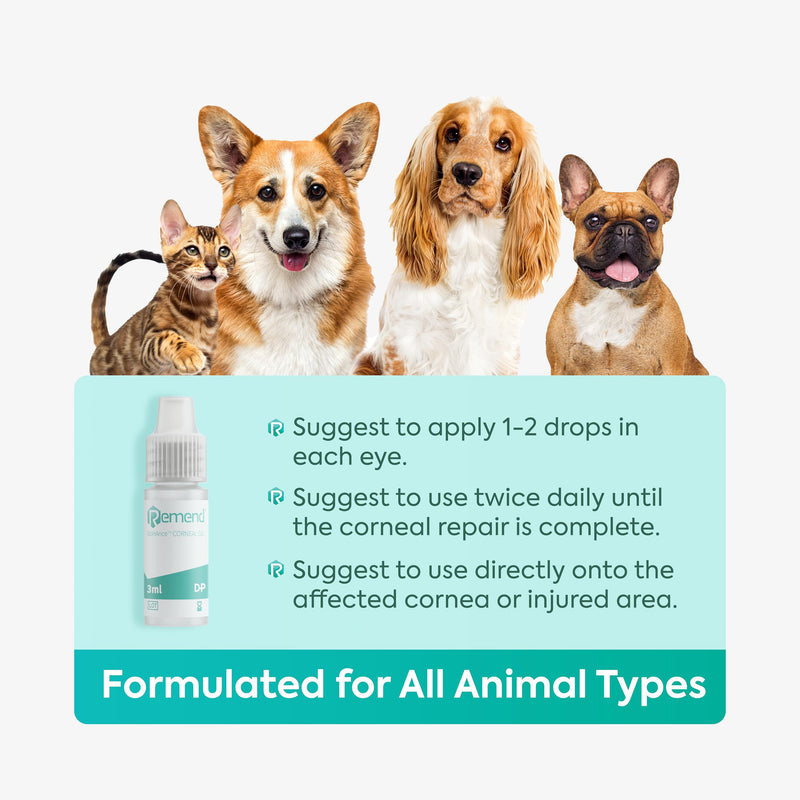 Remend Corneal Gel for Dogs and Cats (by Domes Pharma) - Pet Eye Drops for Dry Eyes, Eye Infection, Allergies & Cornea Recovery, Gentle Eye Care Treatment - 3 ml