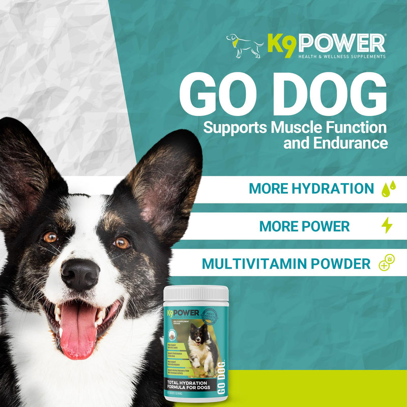 K9 Power Go Dog Hydration & Performance Drink Mix 1 lb - Active Dog Supplement for Muscle Function, Endurance, Recovery, with Electrolytes Support - PawsPlanet Australia