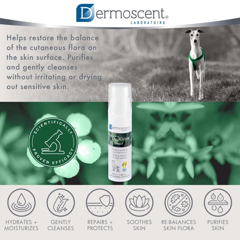 Dermoscent PYOclean Spray for Dogs and Cats - 50 ml - BeesActive Australia