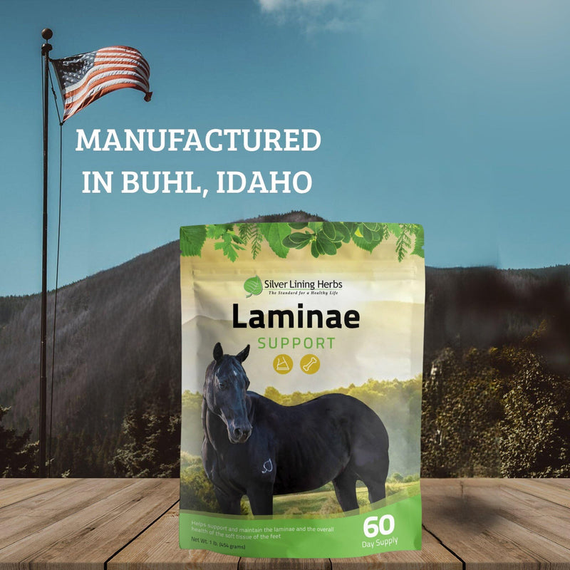 Silver Lining Herbs Keep Cool Equine Calmer - Natural Herbal Horse Supplement - Supports Calming Anxious and Excitable Horses - Helps Maintain Contentment and Relieve Stress - 1 lb Bag - BeesActive Australia
