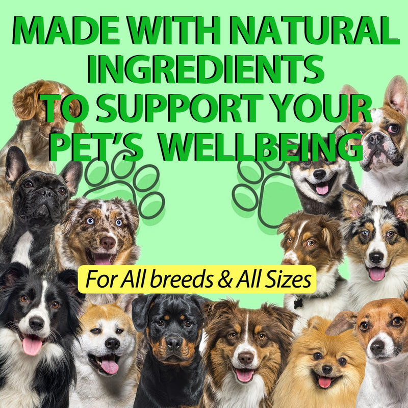 Natural Defence & Wellness Drops for Dogs | Supports Natural Immune Function, Digestive Comfort & Vitality | Plant-Based Daily Supplement for All Breeds Bacon Flavor for Dogs