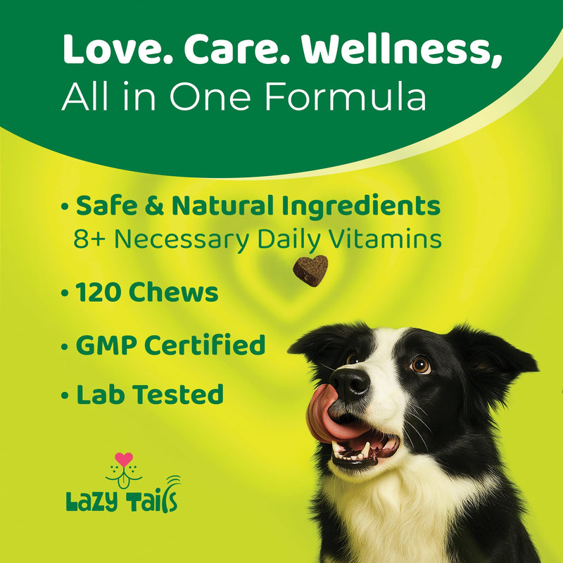 Multivitamins for Dogs – 120 Soft Dog Chews Packed with Vitamins & Minerals – Dogs Multivitamin for Vitality & Overall Wellness – Chicken Flavor Dog Treats for All Ages, Breeds & Sizes
