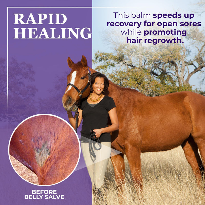 Farrier's Wife Belly Salve - Natural Soothing Salve for Horses | Helps Fly Bite Dermatitis and Promotes Hair Growth | Belly Balm for Horses | Sweet Itch Ointment for Horses - 20oz - PawsPlanet Australia