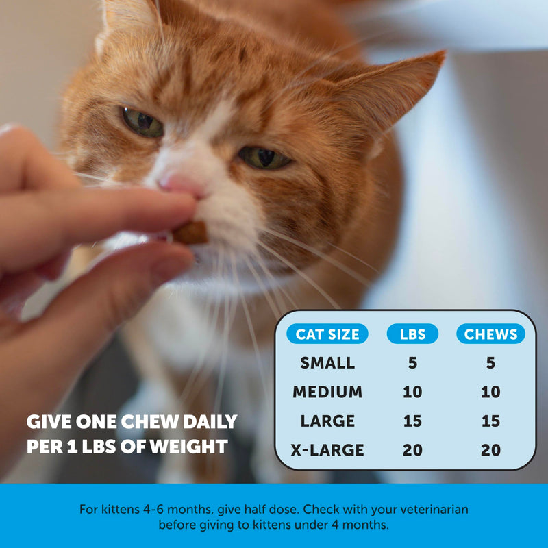 Cat Hairball & Skin Health Virtual Bundle – Hairball Chews 90 Day + Skin & Coat Health Chews 30 Day Supply