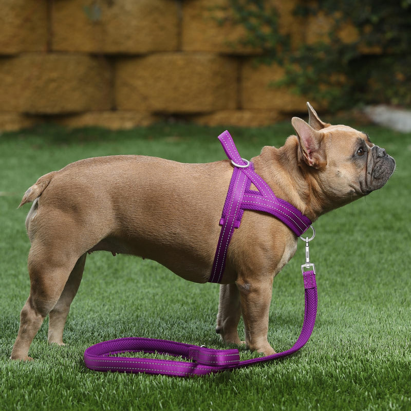 Plutus Pet No Pull Dog Harness with Breathable Mesh Padded, Adjustable Reflective Escape Proof Dog Harness, Quick Fit Dog Vest Harness for Small Medium Large Dogs(S, Purple) S: chest 17"-19.7" - BeesActive Australia