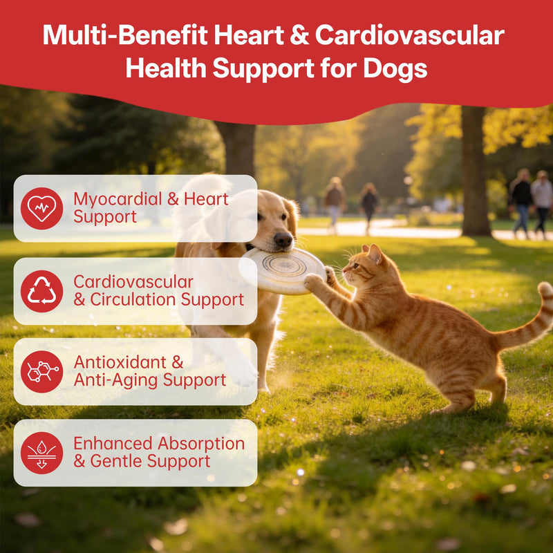 Heart Support Supplement for Dogs & Cats with CoQ10, Taurine & Vitamin E – Cardiovascular Wellness, Pet Heart Health for All Breeds & Ages, 140 Tablets