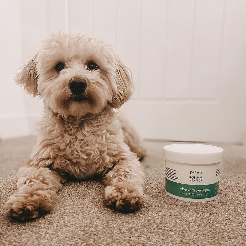 pet wiz Aloe Vera Eye Wipes for Cleaning Dogs & Cats - Extra Large 1 Tub