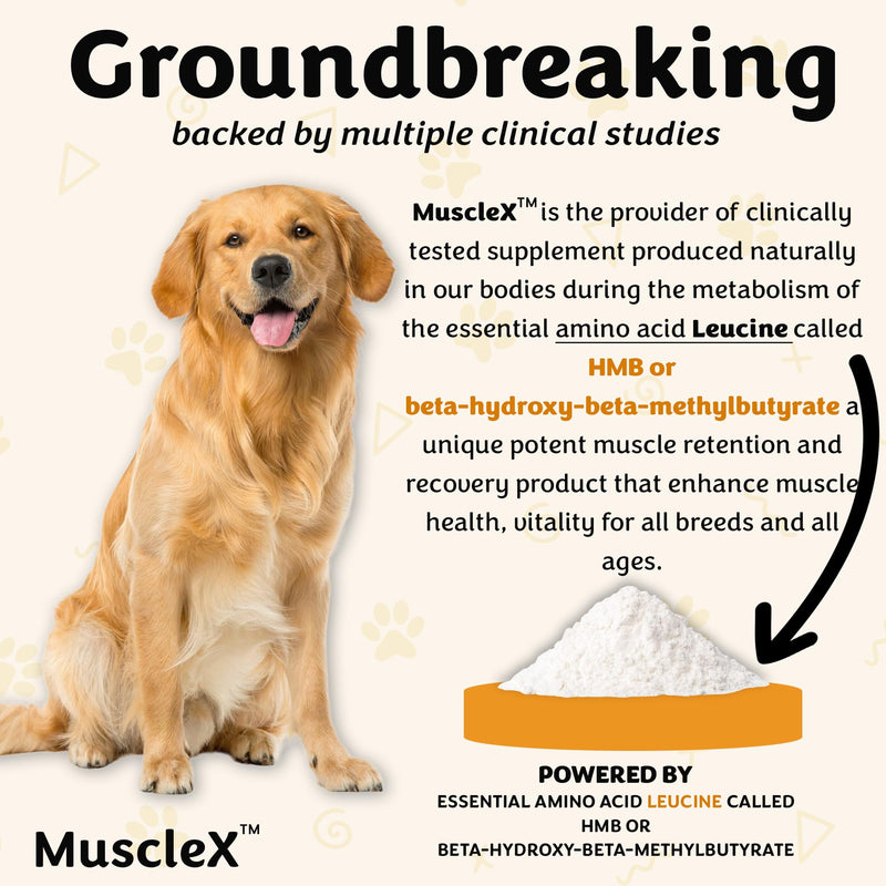 MuscleX™ Canine Muscle Formula Dogs with CaHMB 500 mg and Vitamin D3 - Natural Muscl Building Formula - Helps Reduce Muscle Loss Due to Normal Aging and Improves Recovery from Injury (90 Capsules)
