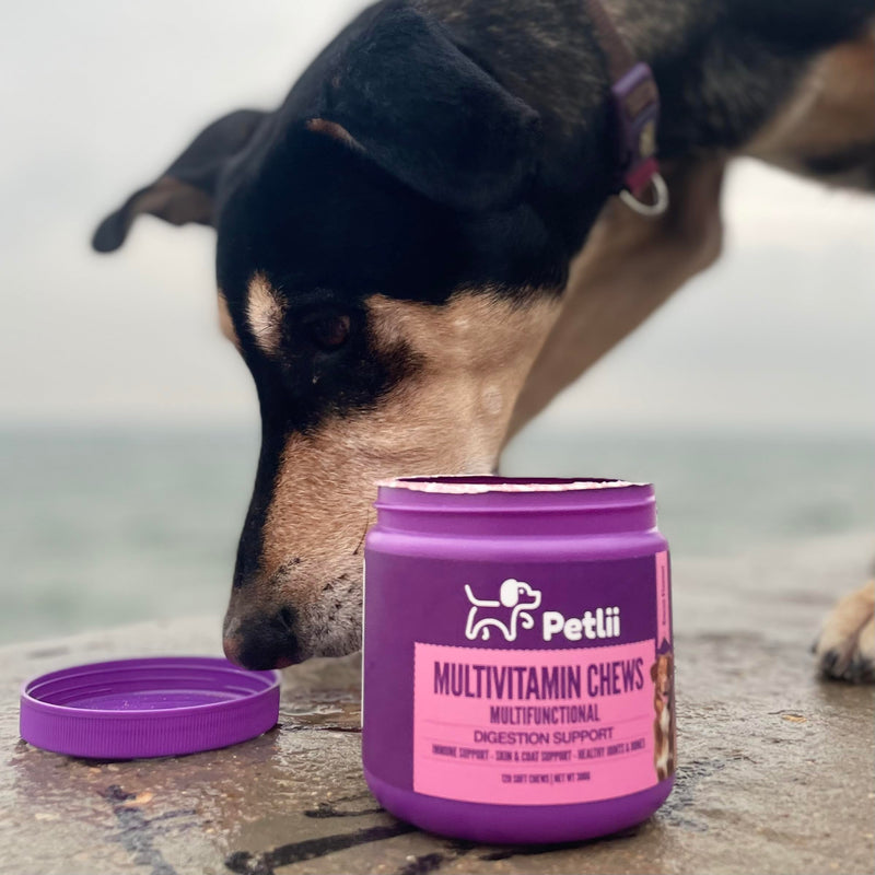 Multivitamin Chews - 120 Bacon Dog Chews | Vitamins, Omegas and Probiotics | Healthy Joints and Gut, Prevent Itching and Improve Vitality