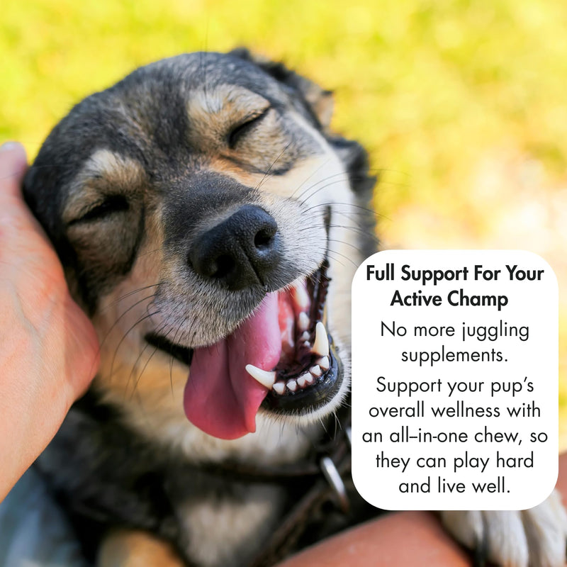 Dog Multivitamin Bundle - Champ's Armor Allergy & Immune Chews + 10-in-1 Supplement | Hip Joint, Skin Coat, Digestive Health Support for Dogs