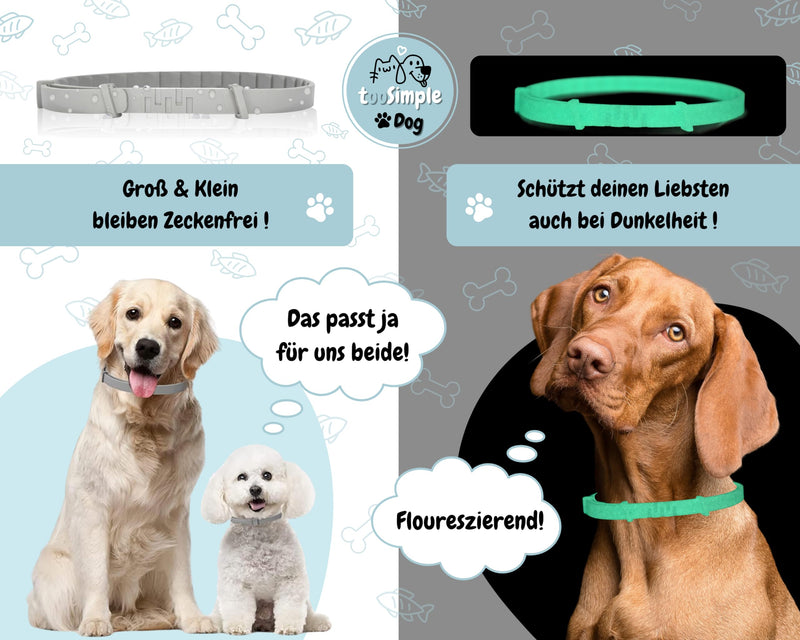 tooSimple The tick collar for dogs 100% vegetable premium oil Effective protection against ticks, fleas, mosquitoes, lice, vermin - 8 months duration of action - BeesActive Australia
