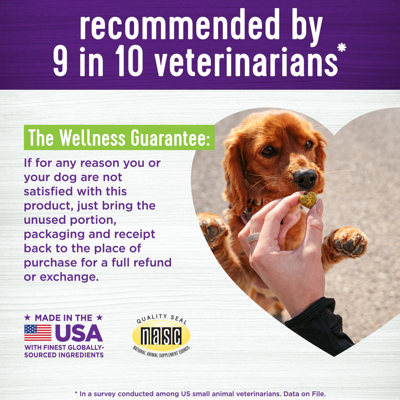 Wellness Pumpkin Patch Flavored Soft Chew Digestive Health Supplements for Dogs, 45 Count