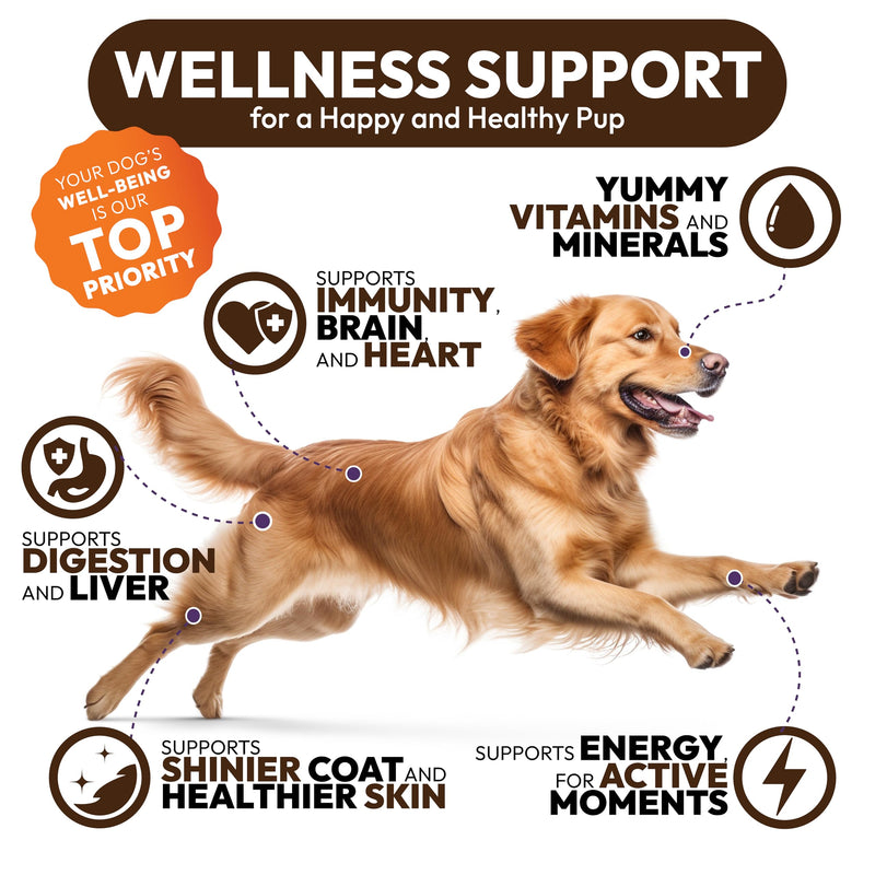 Turkey Tail Mushroom for Dogs - 250 Chews - Lion’s Mane - Shiitake - Reishi - Buddy Immune Support Guard - Lipoma Mushroom Supplement for Dogs Lumps and Bumps Glucosamine, Health Vitamins Multivitamin