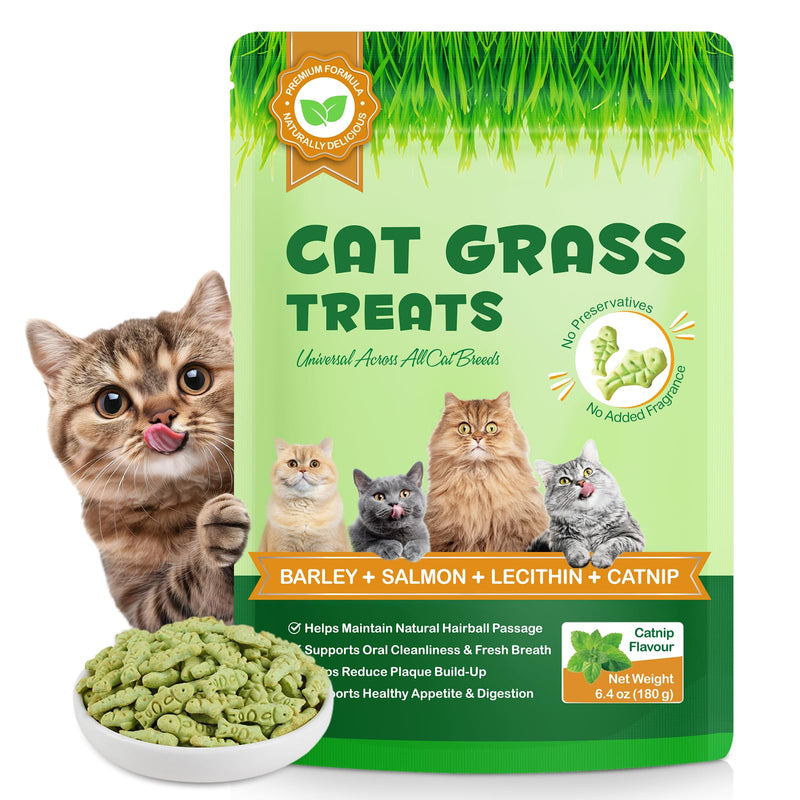 Cat Grass Treats,Cat Treats for Indoor Hairball Control,Delicious Kitten Grass Teething Stick for Hairball Remove and Teeth Cleaning,Catnip Flavour
