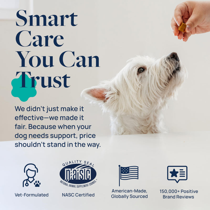 Veterinary Formula Gut Health Supplement for Dogs – Vet-Formulated Probiotic Chews with Digestive Enzymes & Fiber – Smart Vitality Supports Digestive Health, Gut Balance & Stool Quality, 60 Soft Chews 60 ct