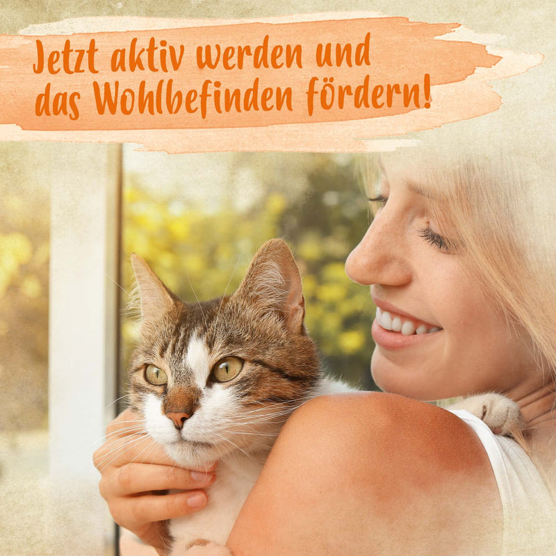 Ida Plus - 100% green-lipped mussel powder for cats - 100 g - green-lipped mussel to support joint function - full fat quality - without additives - with glycosaminoglycans, Omega 3, calcium, magnesium - BeesActive Australia