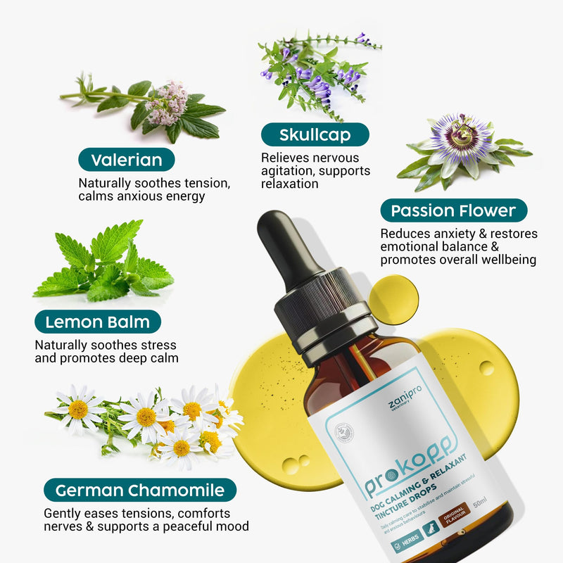 Valerian Dog Calming Drops - 100% Natural Herbal Dog Anxiety Relief Calmer, Skullcap and Valerian Drops for Dogs, Use for Stress, Separation, Sleep & Fireworks Calming for Dogs | 50ml