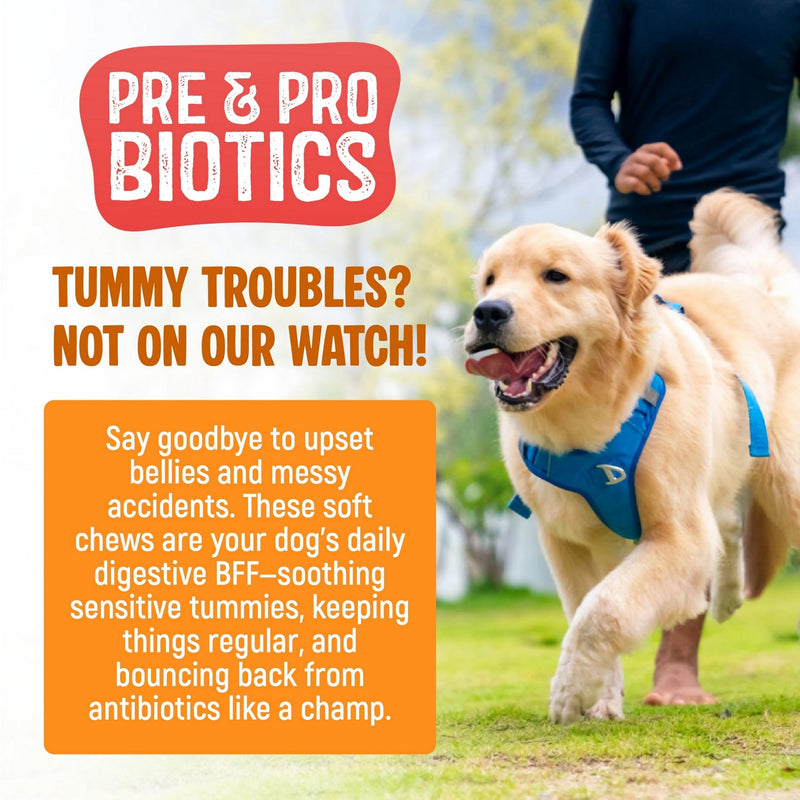 Dog Probiotic Supplements for Gut Health – 120 Soft Probiotic Chews for Dogs – Daily Canine Probiotics & Prebiotics to Support Digestion, Immunity & Sensitive Stomachs – Salmon Flavour Treats