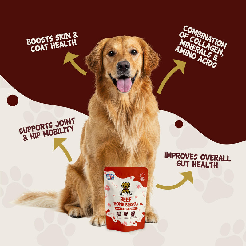 True Dog Beef Bone Broth Powder (250g) Contains Collagen for Dogs & Cats, Supports Puppy and Dog Gut Health and Joint Aid for Dogs, Cat Food Topper Suitable for Home Freezing - Natural Pet Supplement