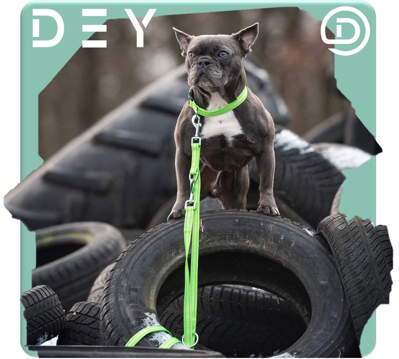 DEY - Premium dog leash nylon 2m | Reflective | 3-way adjustable | for small, medium and large dogs | many colors | double leash dog | Towline | Lead leash | Puppy leash | Red, XS [XS] - 1.0 x 200 cm Red-Reflective - BeesActive Australia