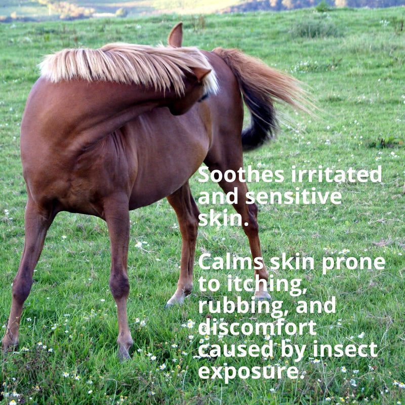Anti-Midge Horse Balm, 100ml, Natural Repellent with Shea Butter, Beeswax, Coconut Oil, Neem Oil, Citronella, Lemongrass, Lavender, Cedarwood