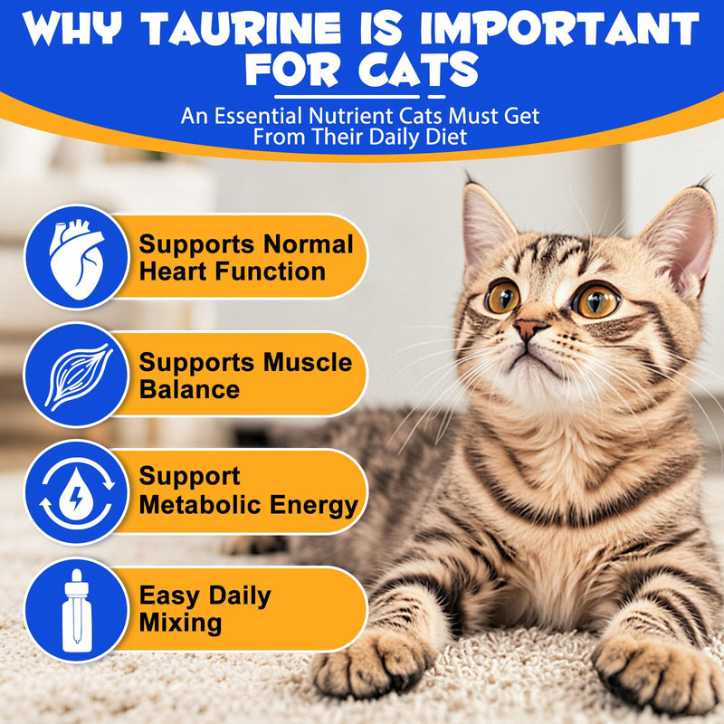 Taurine for Cats Drops - Liquid Aminos Supplement, Natural Cat Taurine Supplement, Support for Heart, Vision Health, Muscle & Activity Suitable for All Breeds & Ages 60ml