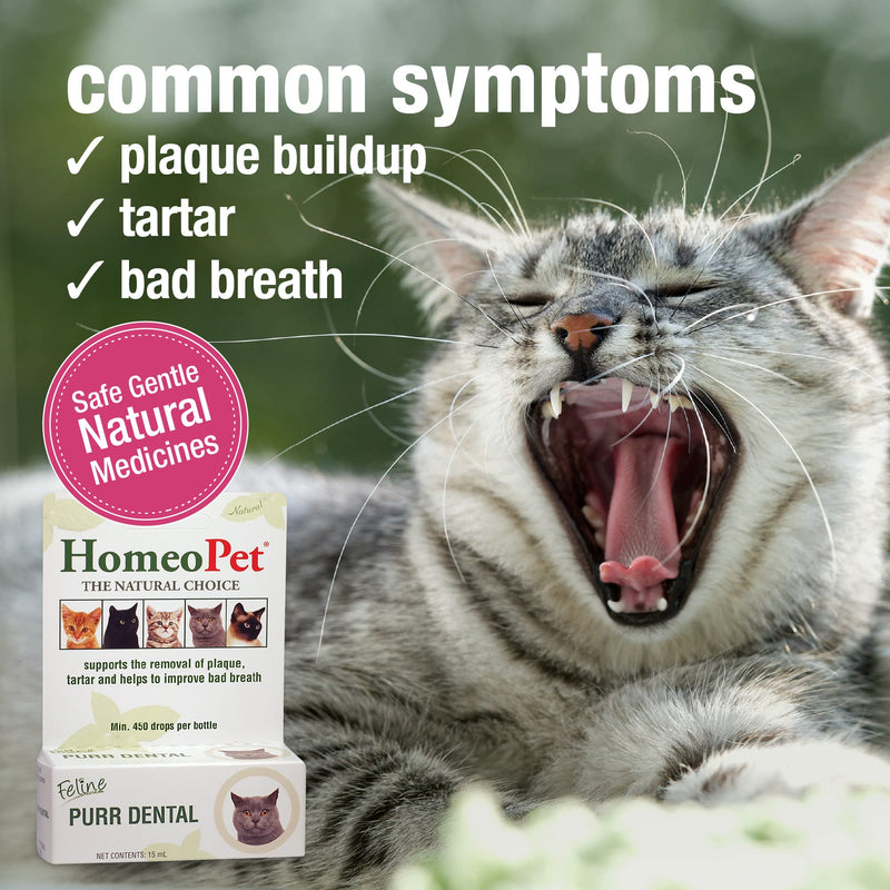 HomeoPet Feline Purr Dental, Safe and Natural Tooth and Dental Care for Cats, Cat Dental Care, 15 Milliliters 15mL - BeesActive Australia