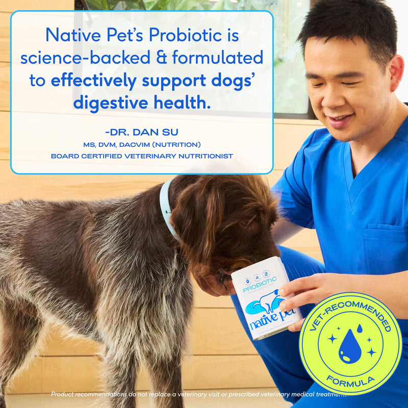 Native Pet Probiotics for Dogs – Dog Probiotic Powder for Gut & Digestive Health, Vet-Formulated 6B CFUs Dog-Specific Probiotic Strains, Supports Stool Quality & Diet Transitions – 120 Scoops 120 Servings