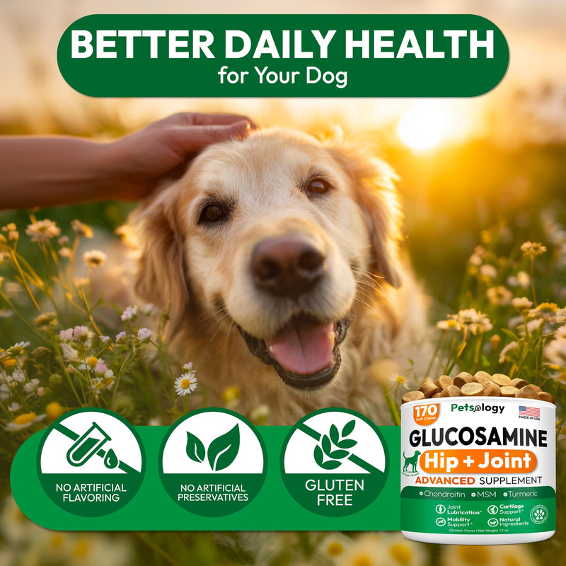 Glucosamine for Dogs - Hip and Joint Supplement for Dogs - 170 Mobility Chews - Glucosamine Chondroitin - MSM - Turmeric - Joint Pain Relief - Advanced Support for Dog Health - Made in USA 170 Chews Glucosamine Chews