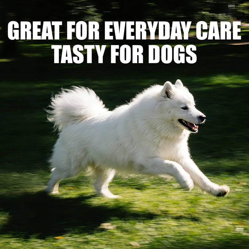 Just Try Coenzyme Q10 Heart Heathy Bites for Dogs - Advanced q10 & Taurine Supplement for Heart Health - Chicken Flavored Chews - Supports Heart Function-10.58oz