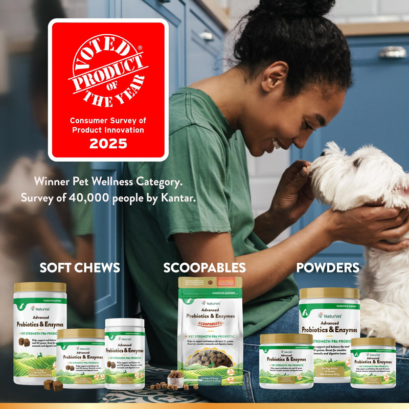 NaturVet Advanced Probiotics & Enzymes, PB6 Dog Soft Chews to Help Sensitive Stomachs and Digestive Issues, Hickory Smoked Bacon Flavored Pet Supplement for Dogs Over 6 Weeks, 70 Count Jar 70 Soft Chews
