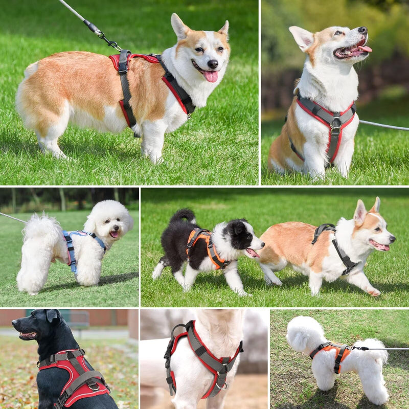 Beirui No Pull Dog Harness, No Choke Front Clip Dog Harness for Large Dogs, Adjustable Soft Padded Dog Vest harness with Easy Control Handle and Reflective Strips for Medium Dog Easy Walking(Red,L) - BeesActive Australia