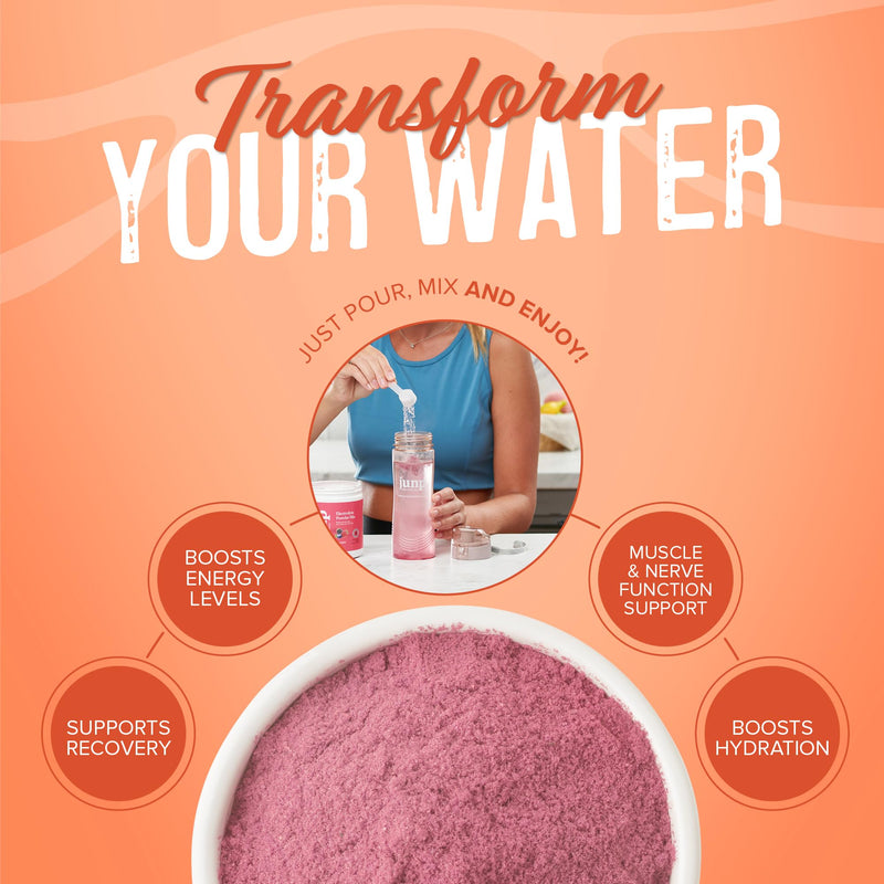 JUNP Electrolytes Powder No Sugar No Carbs, Orchard Fresh Juicy Peach Keto Electrolyte Drink Mix, Potassium & Salt Hydration Powder Electrolytes Zero Calorie Sugar Free Electrolyte Powder, 90 Servings 90 Servings (Pack of 1)