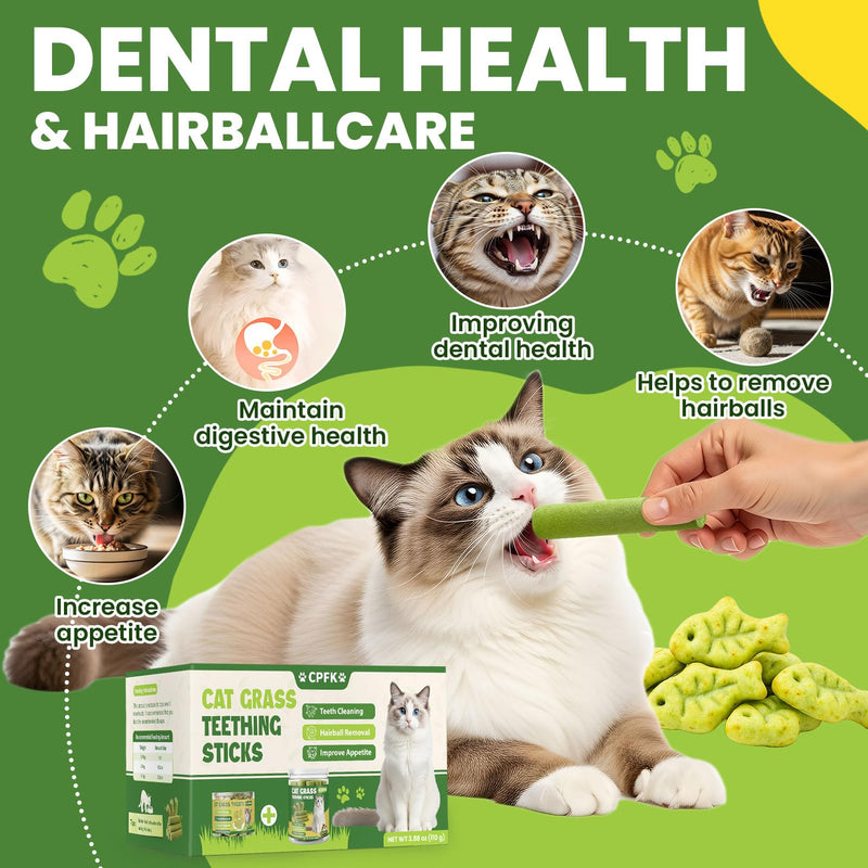 Cat Grass Sticks, 60 g Cat Grass Teething Stick and 50 g Cats Treats, Natural Dental Chews for Teeth Cleaning & Hairball Relief Teething Sticks for Indoor Cats Grain-Free 110 g